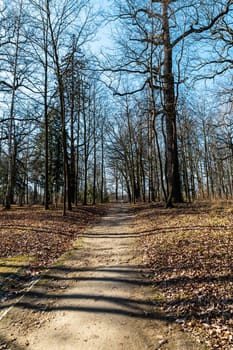 Long path in small park with trees without leafs around