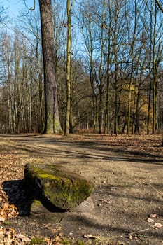 Long path in small park with trees without leafs around and small wooden bench