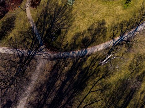 Aerial drone look to green park with long paths