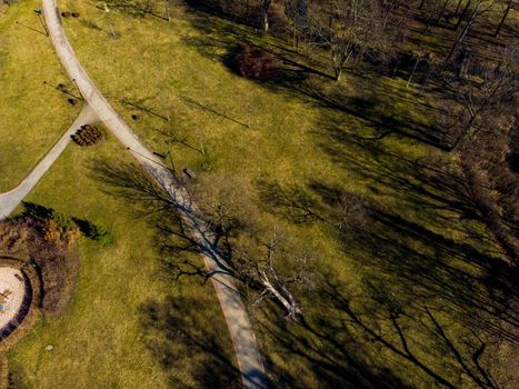 Aerial drone look to green park with long paths