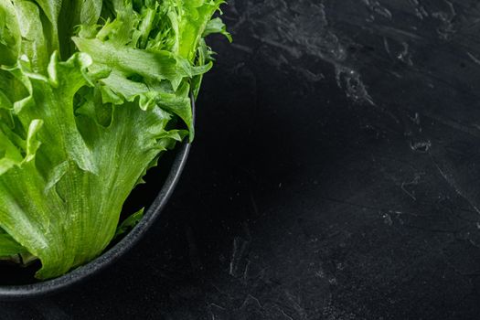 Frillis lettuce leaves, on black background with copy space for text
