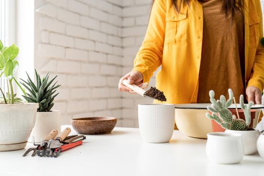 Home gardening. Woman gardener hands putting draining and soil into a new flowerpot. Copy space