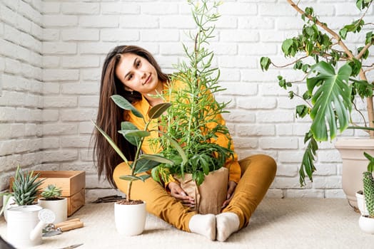 Home gardening. Woman gardener taking care of her home garden kalanchoe plant