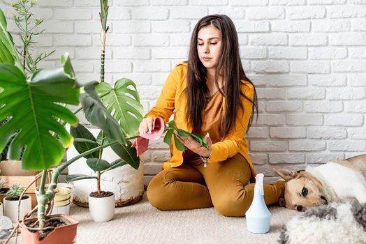 Home gardening. Woman gardener taking care of her home garden plants