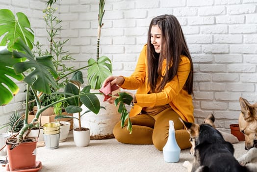 Home gardening. Woman gardener taking care of her home garden plants