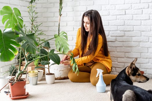 Home gardening. Woman gardener taking care of her home garden plants