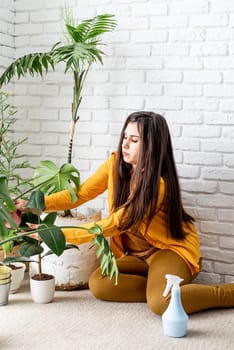 Home gardening. Woman gardener taking care of her home garden plants