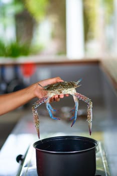 Putting a blue crab in pot with boiling water. Cooking seafood.