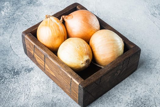Organic onions, on gray background