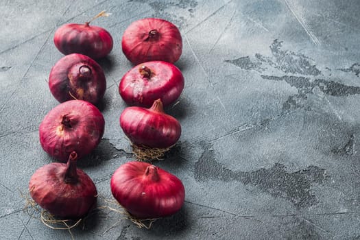 Red onion, on gray background with copy space for text