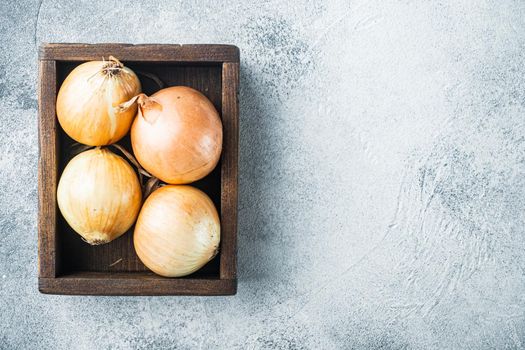 Unpeeled raw yellow onion, on gray background, top view flat lay with copy space for text