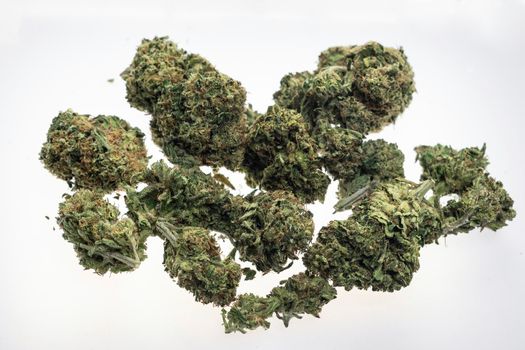 US medical marijuana cannabis buds closeup on white studio background in california