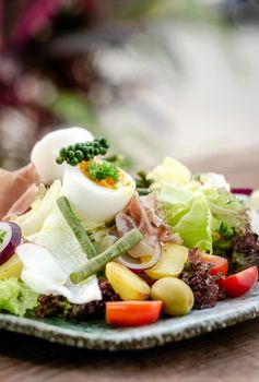 nicoise style healthy organic rustic salad with egg and ham outdoors