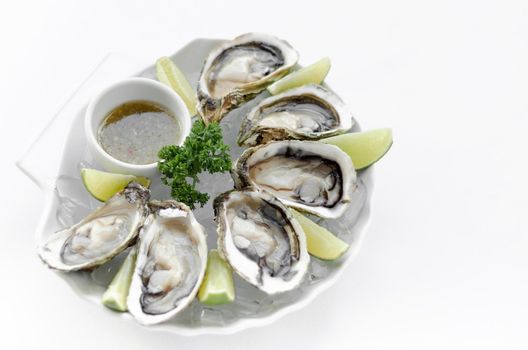 Six fresh oysters with lime wedges and citrus vinaigrette sauce