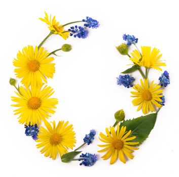 Flowers composition. Round frame made of yellow and blue flowers, eucalyptus branches on white background. Flat lay, top view, copy space.