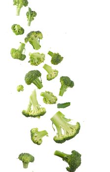 Broccoli pattern isolated on a white background. Various multiple parts of broccoli flower. Top view.