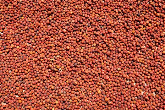 many asian red peppercorns drying in the sun background image