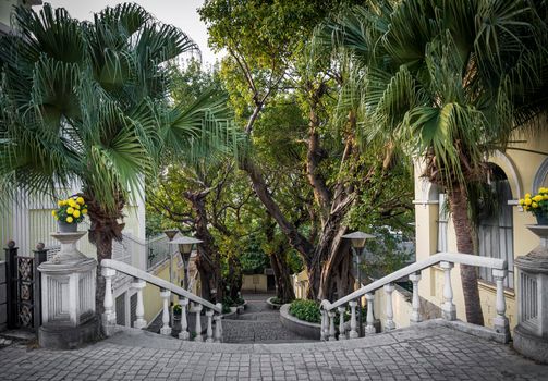 calcada do carmo portuguese colonial style alley in old taipa area of macau china