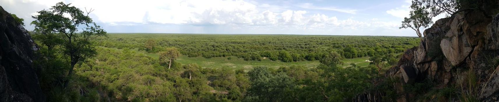 Panorama from Chobe National Park in Botswana
