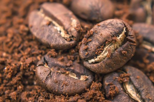 Close-up of coffee beans, freshly roasted coffee grains lie on a heap of ground coffee