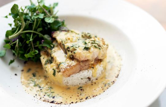 sea bream fish fillet in creamy mustard dill and lemon sauce restaurant meal on plate