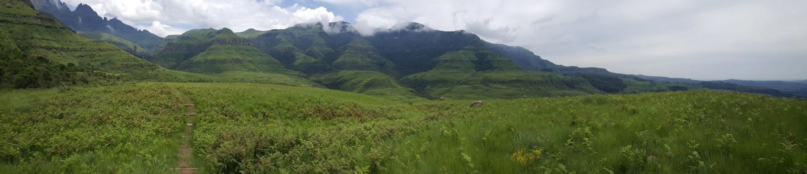 Panorama from Hiking path at Natal Drakensberg National Park in South Africa in South Africa