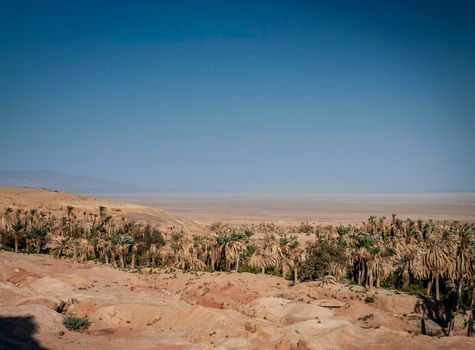 desert landscape view in garmeh oasis near yazd southern iran
