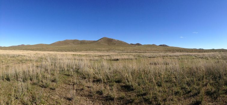 Panorama from the countryside of Mongolia