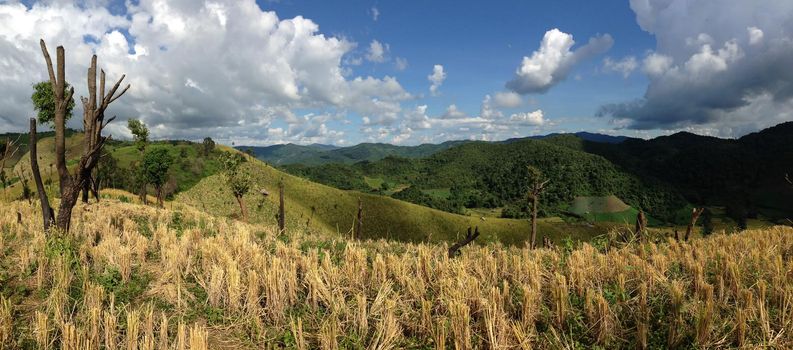 Panorama from the mountain landscape in the hills of Northern Thailand