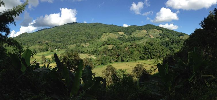 Farming landscape panorama in north Thailand