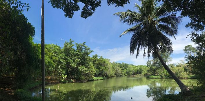 Panorama from Sri Nakhon Khuean Khan Park And Botanical Garden in Bangkok Thailand