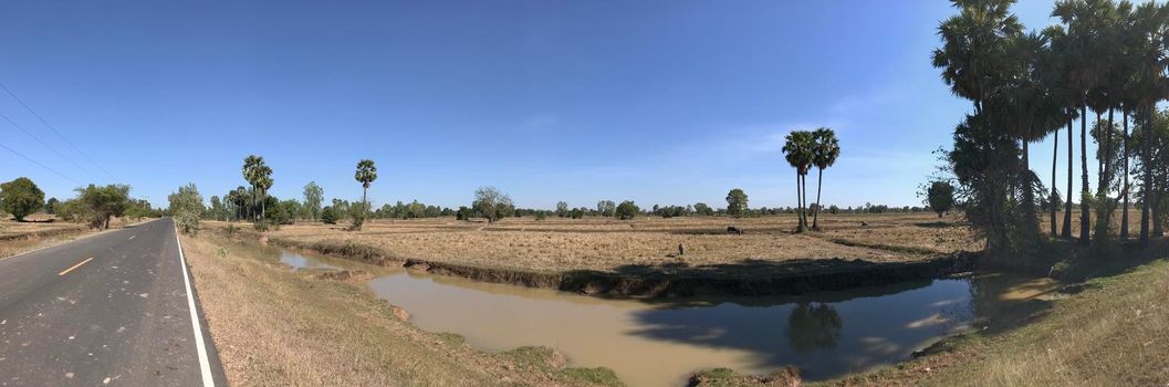 Road through the countryside of Thailand