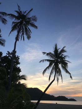 Palmtree and sunset on Koh Chang Thailand