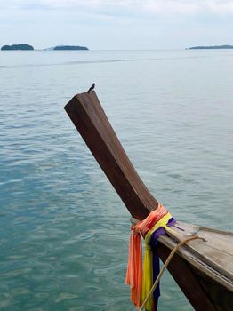 Swallow on a bow of a long-tail boat in Koh Lanta Noi, Thailand