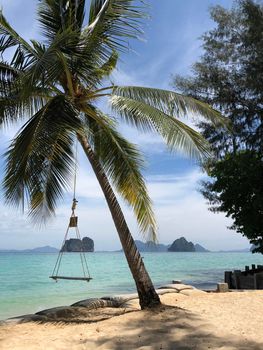 Swing at a palm tree on Koh Ngai in Thailand