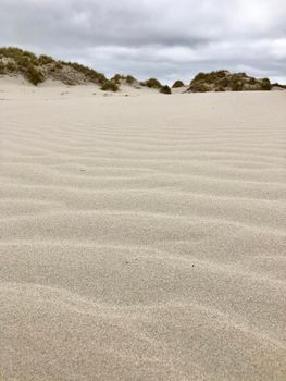 Sand dunes on Terschelling, The Netherlands