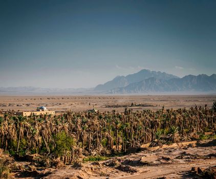 desert landscape view in garmeh oasis near yazd southern iran