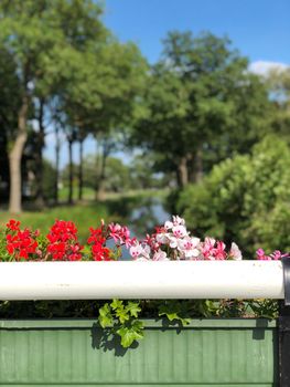 Canal near the village Bontebok, Friesland The Netherlands