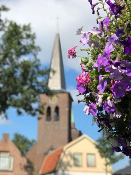 Flower with in the background the Parish Church of the Holy Spirit in Heerenveen, Friesland The Netherlands