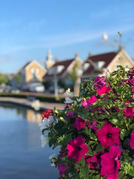 Flowers around a canal in Joure, Friesland The Netherlands