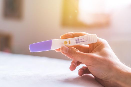 Woman hand holding pregnancy test, result is pregnant