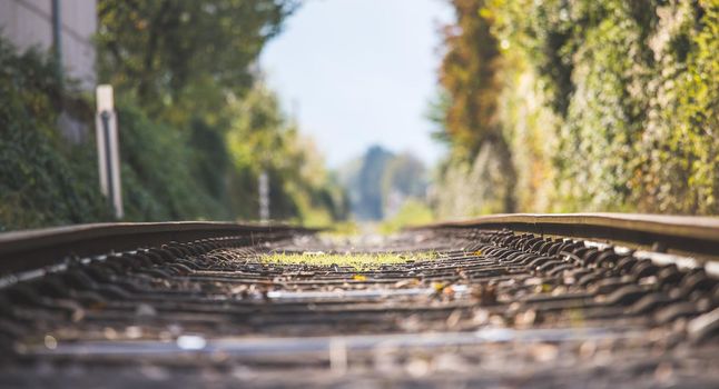 Landscape of an old abandoned railway in fall. Warm light, sustainable traveling