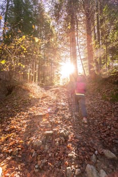 Girl in sportswear hiking in autumnal forest, warm colors