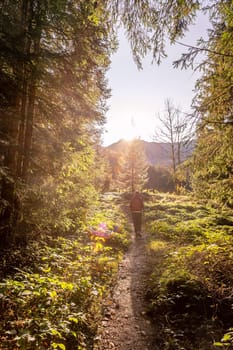 Girl in sportswear hiking in autumnal forest, warm colors