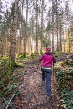 Girl in sportswear hiking in autumnal forest, warm colors