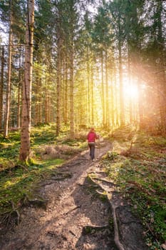 Girl in sportswear hiking in autumnal forest, warm colors