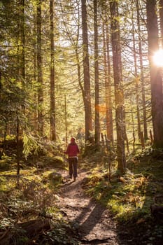 Girl in sportswear hiking in autumnal forest, warm colors