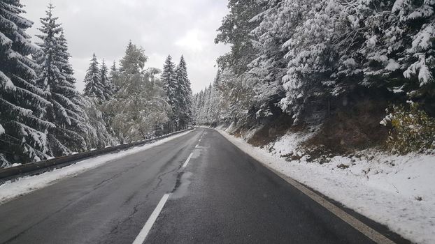 Snowy road through the Low Tatras National Park in Slovakia