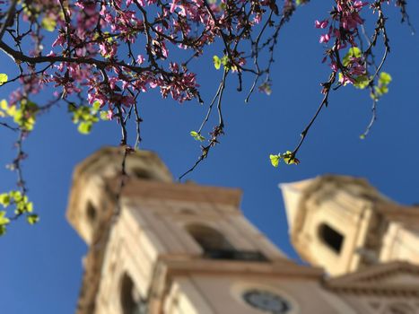 Iglesia de San Antonio de Padua church in Cadiz Spain