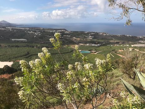 View from mount Arucas in Gran Canaria